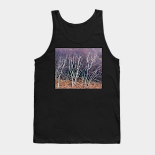 Birches in Breeze Tank Top